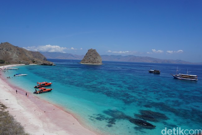TN Komodo Punya Banyak Pantai Pink, Mana yang Paling Pink?