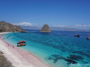 TN Komodo Punya Banyak Pantai Pink, Mana yang Paling Pink?