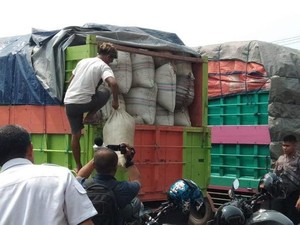 Polisi Sita 12 Ton Daun Kratom yang Akan Diekspor ke Luar Negeri