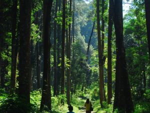 Berjalan dalam teduh-Mu