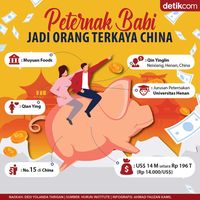 Orang China yang Kaya Raya Berkat Ternak Babi