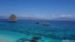 Potret Pantai Pink yang Populer di TN Komodo