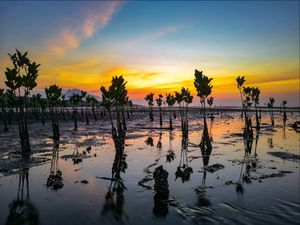Lindungi Bumi, Selamatkan Bumi