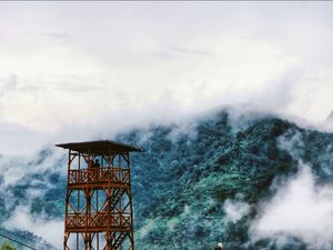 Reboisasi gunung penanggungan