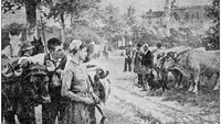 Setelah Kamehameha meninggal, konflik kerajaan di Hawaii pecah lagi. Hingga akhirnya di tahun 1898, akhirnya Hawaii dikuasai Amerika Serikat dan hingga kini menjadi negara bagiannya (iStock)