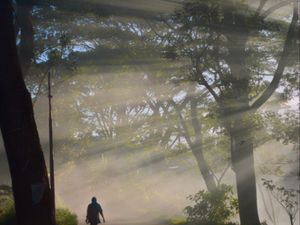 Dalam terang pagi-Mu