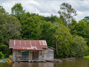 Sungai Halamanku, Hutan Pekaranganku
