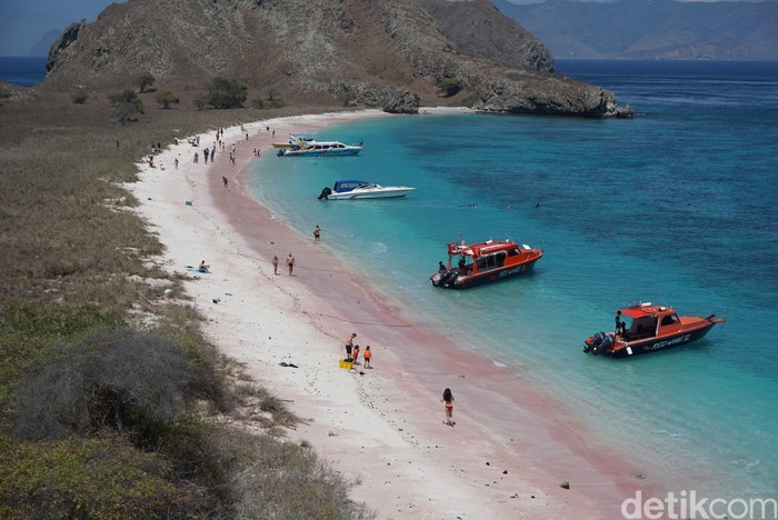 Long Beach atau Pantai Pink Pulau Padar