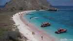 Potret Pantai Pink yang Populer di TN Komodo