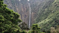 Paiea disembunyikan di Lembah Waipio untuk menghindari peperangan dan ditempa fisik, mental, dan keahlian lainnya. Setelah remaja, dia keluar dari sana dan menaklukan kerajaan-kerajaan di Hawaii (iStock)