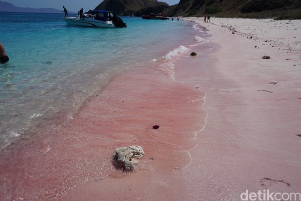 Kelimanya yakni Pink Beach Komodo, Pink Beach Padar ada yang namanya Short Beach dan Long Beach, Pantai Serai dan Namo Beach. Pantai Namo di Pulau Komodo dan Serai di Pulau Rinca. (Foto: Ahmad Masaul Khoiri)