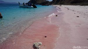 Potret Pantai Pink yang Populer di TN Komodo