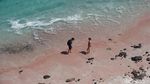 Potret Pantai Pink yang Populer di TN Komodo
