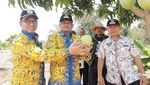 Kulineran Ndeso Bupati Indramayu Sebelum Diciduk KPK