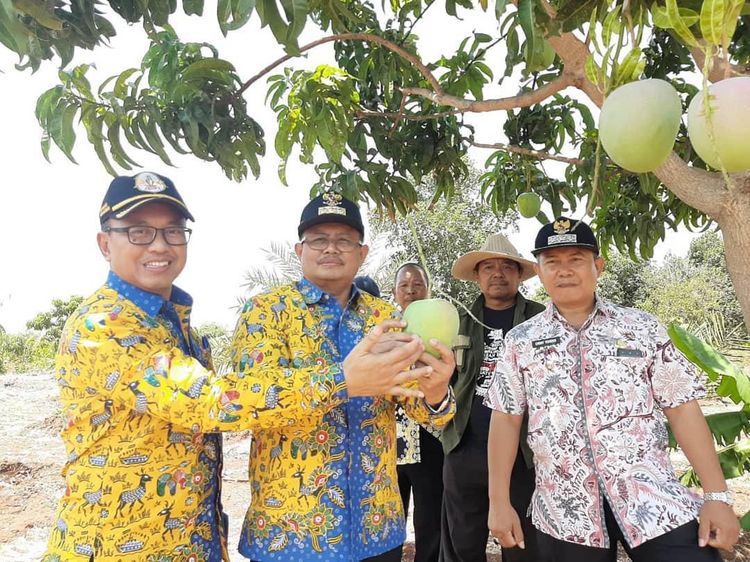 Kulineran Ndeso Bupati Indramayu Sebelum Diciduk KPK