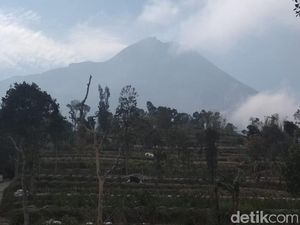 Merapi Kembali Tenang, BPBD Kabupaten Magelang: Waspadai Hoax
