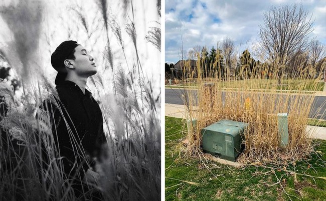 Foto pria dengan efek hitam putih tersebut seperti terlihat sedang berada di sebuah perkebunan. Difoto dari bagian samping dengan teknik yang tepat, kamu tidak akan menyangka bahwa sesungguhnya foto itu hanya diambil dari tumbuhan liar tak beraturan yang tumbuh di halaman rumah. Foto: joshuaburchh/Twitter