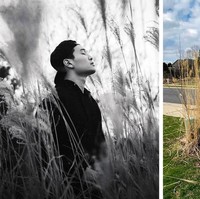 Foto pria dengan efek hitam putih tersebut seperti terlihat sedang berada di sebuah perkebunan. Difoto dari bagian samping dengan teknik yang tepat, kamu tidak akan menyangka bahwa sesungguhnya foto itu hanya diambil dari tumbuhan liar tak beraturan yang tumbuh di halaman rumah. Foto: joshuaburchh/Twitter