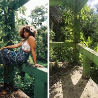 Jika melihat foto ini maka kamu mungkin menyangka bahwa foto ini diambil di hutan. Padahal sesungguhnya foto ini hanya di ambil di bangunan yang usang dan tidak terawat. Editan dan pengaturan warna yang pas membuat foto ini terlihat sangat mengagumkan. Foto: ehnarty/Twitter