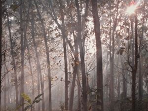 Secercah sinar pagi