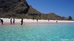 Potret Pantai Pink yang Populer di TN Komodo