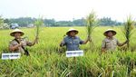 Kulineran Ndeso Bupati Indramayu Sebelum Diciduk KPK