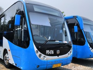 Zhongtong Dicerca, Zhongtong Dibela