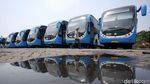 Bus Zhongtong Kembali Jadi Armada TransJakarta