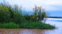 Bagi kelompok yang percaya alien, di dekat danau adalah portal untuk alien planet Pluto dan Loku. Sedangkan para penduduk desa memperingatkan kalau danau ini penuh dengan buaya. (CNN Travel)  