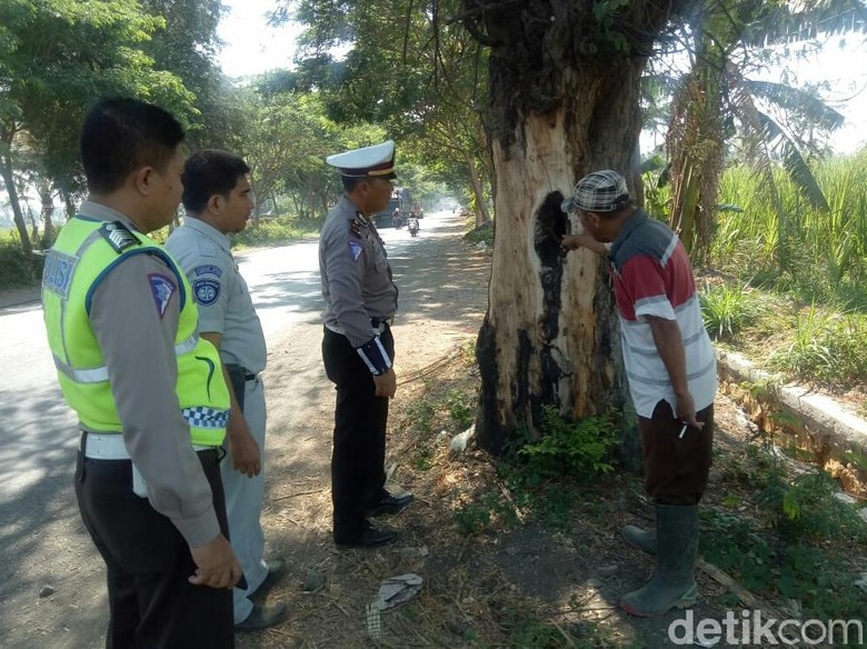 Polisi Temukan Banyak Pohon Keropos di Tepi Jalur Pantura Situbondo Polisi Temukan Banyak Pohon Keropos di Tepi Jalur Pantura Situbondo