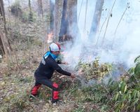 Hutan di Gunung Tambora Terbakar Lagi