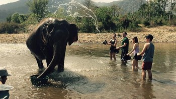 Cipratan air yang menyerupai gajah. (Foto: Boredpanda)