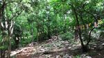 Foto: Kawasan Alien di Bukit Buddha