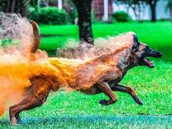 Kumpulan Foto Keren yang Mungkin Dikira Photoshop