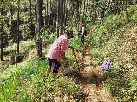 Resah Babi Hutan Rusak Lahan di Ciamis, Warga Pasang Pagar Berduri