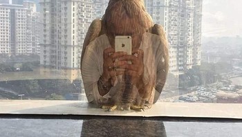 Pengambilan foto dengan angle yang tepat. (Foto: Boredpanda)