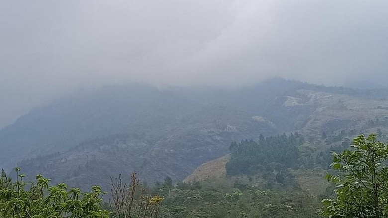 Dalam Sepekan, 843 Hektare Lahan Gunung Arjuno-Welirang Habis Terbakar Dalam Sepekan, 843 Hektare Lahan Gunung Arjuno-Welirang Habis Terbakar