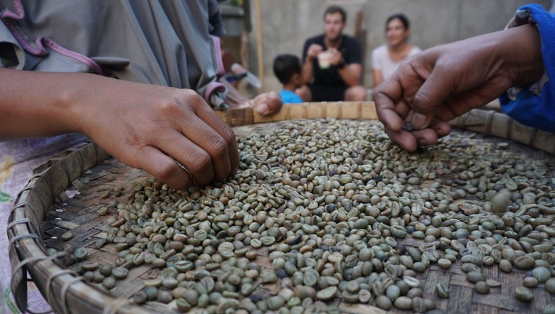 Desa Kembang Kuning Lombok Pikat Wisatawan dari Pembuatan Bubuk Kopi