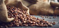 Selain Bijinya, Ekstrak Kulit Biji Kopi Punya Manfaat Sehat Ini