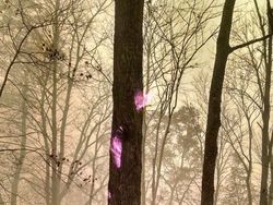 Kumpulan Foto Keren yang Mungkin Dikira Photoshop