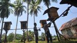 STIB, Sekolah Tinggi Beruk Pemetik Kelapa