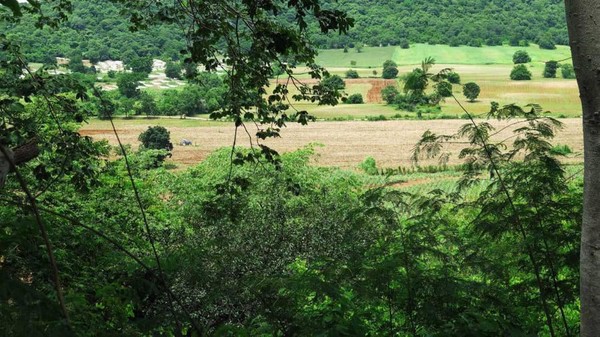Pemandangan dari puncak bukit Khao termasuk ladang tebu. Di sini, Wassana Chuensamnaun, ketua pembela makhluk ruang angkasa mengaku melihat UFO mendarat. (CNN Travel) Pemandangan dari puncak bukit Khao termasuk ladang tebu. Di sini, Wassana Chuensamnaun, ketua pembela makhluk ruang angkasa mengaku melihat UFO mendarat. (CNN Travel)