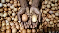 Ada pula pedagang yang berjualan telur di kios yang berada di bawah Rusunawa Pasar Rumput tersebut.