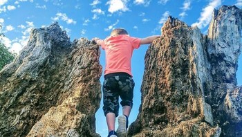 Bukan naik gunung, melaikan anak laki-laki ini hanya memanjat pohon tua. (Foto: Boredpanda)