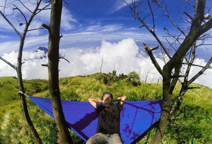 Foto: dok Instagram Uttara Indonesia Foto: dok Instagram Uttara Indonesia