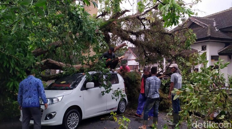 Cerita Pria Cianjur Tolong Istri Terjebak di Mobil Tertimpa Pohon Cerita Pria Cianjur Tolong Istri Terjebak di Mobil Tertimpa Pohon
