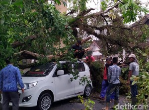 Cerita Pria Cianjur Tolong Istri Terjebak di Mobil Tertimpa Pohon
