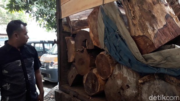 Kayu sonokeling ilegal di Brebes