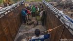 Kasihan! Anak Gajah Sumatera Kena Jerat Pemburu