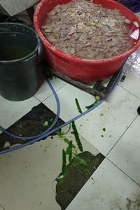 Hi..! Katering Penuh Kecoa dan Lalat Ini Didenda Rp 51 Juta 